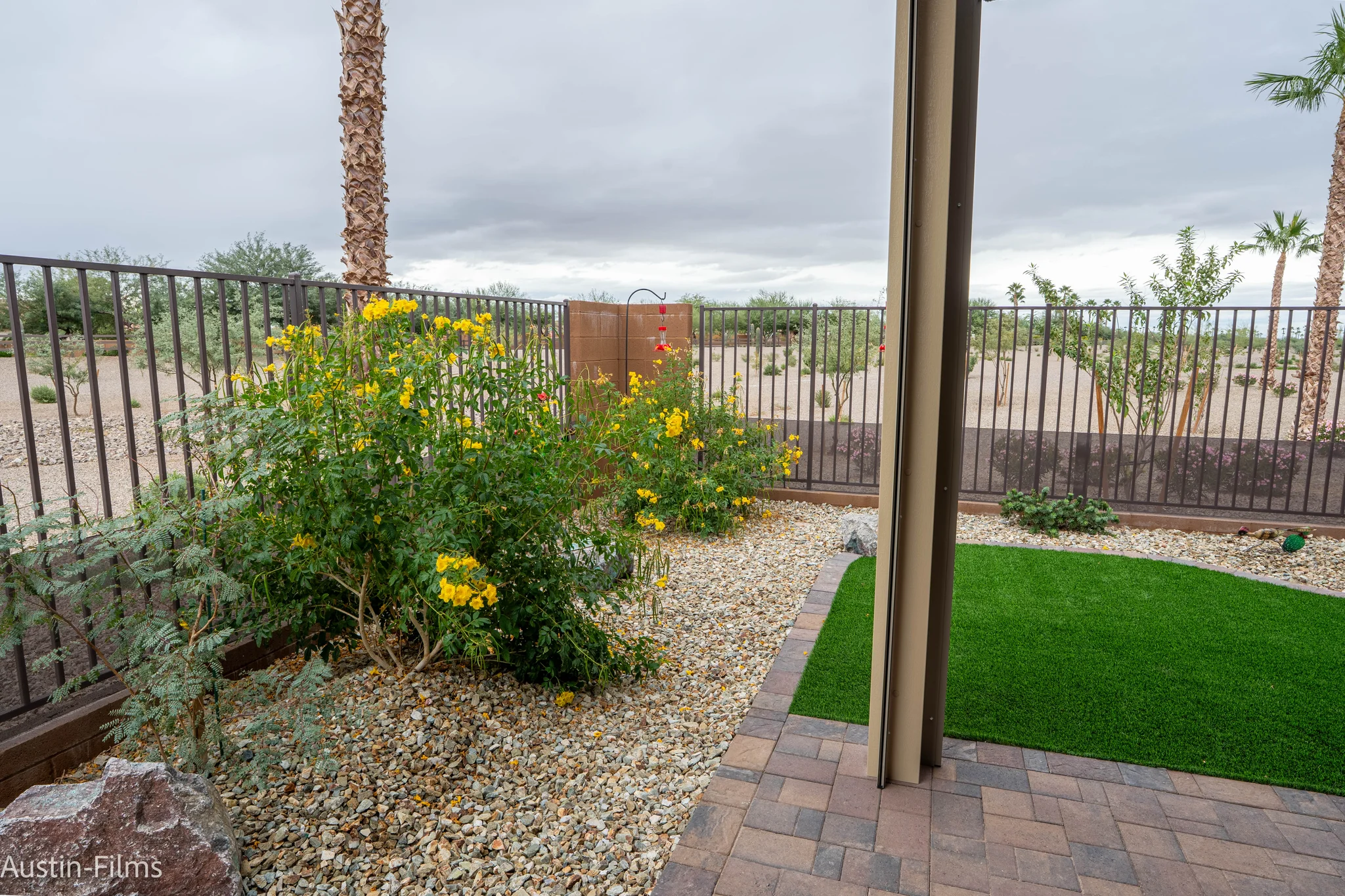 Desert backyard patio with yellow flowers and palm trees