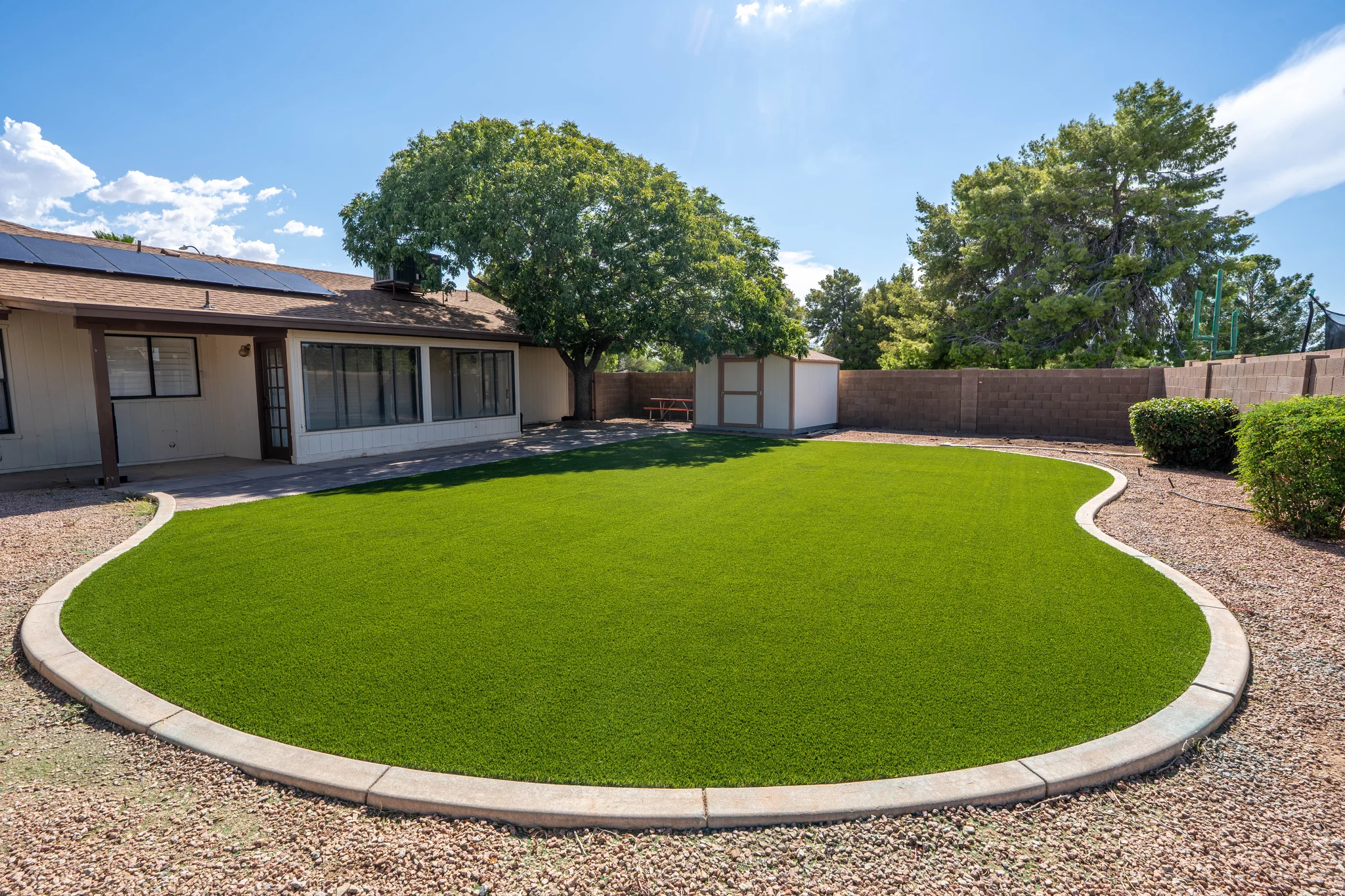 Sunny backyard with artificial turf, shed, and mature trees