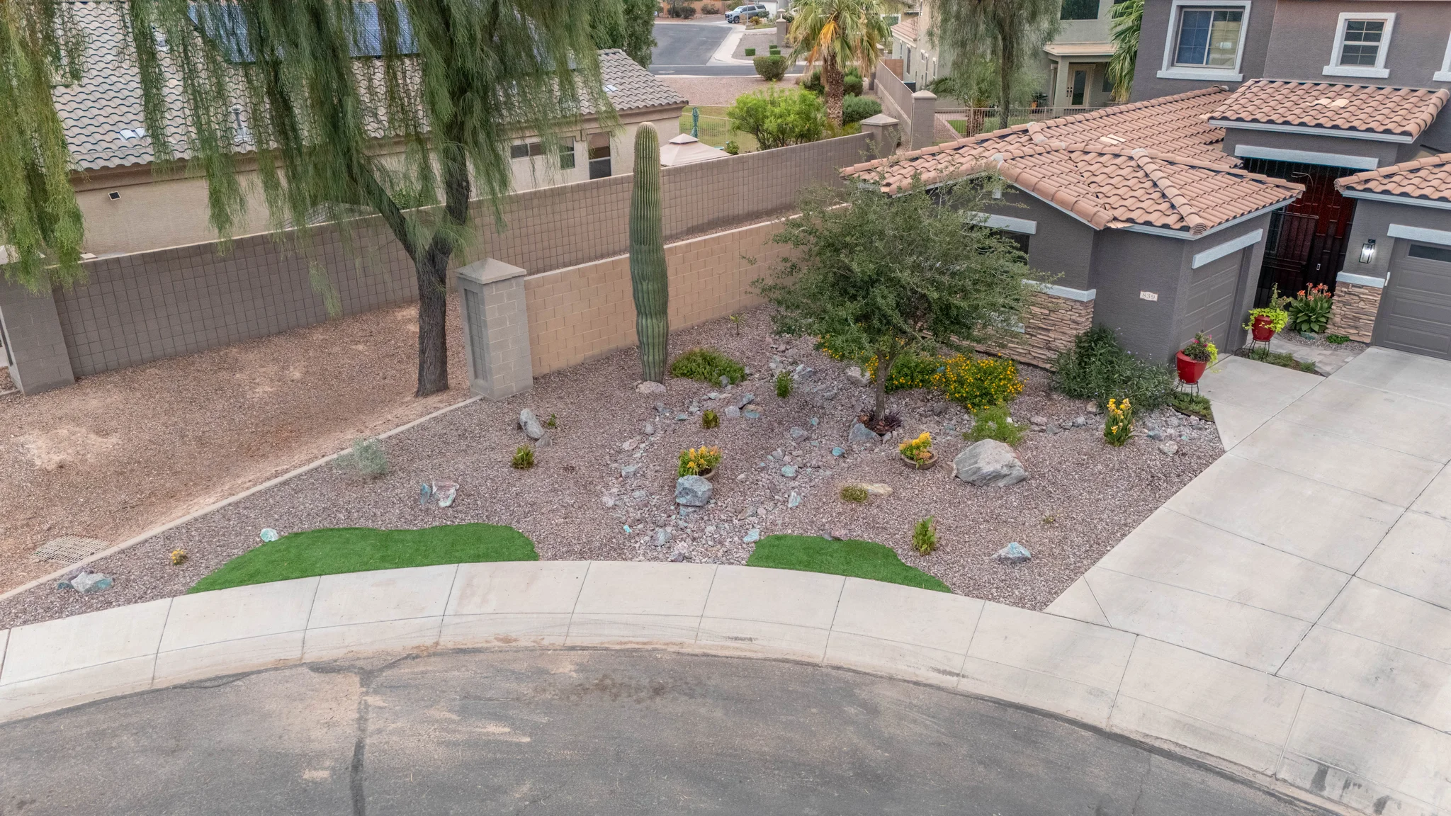 Desert landscaped front yard with saguaro cactus and gravel