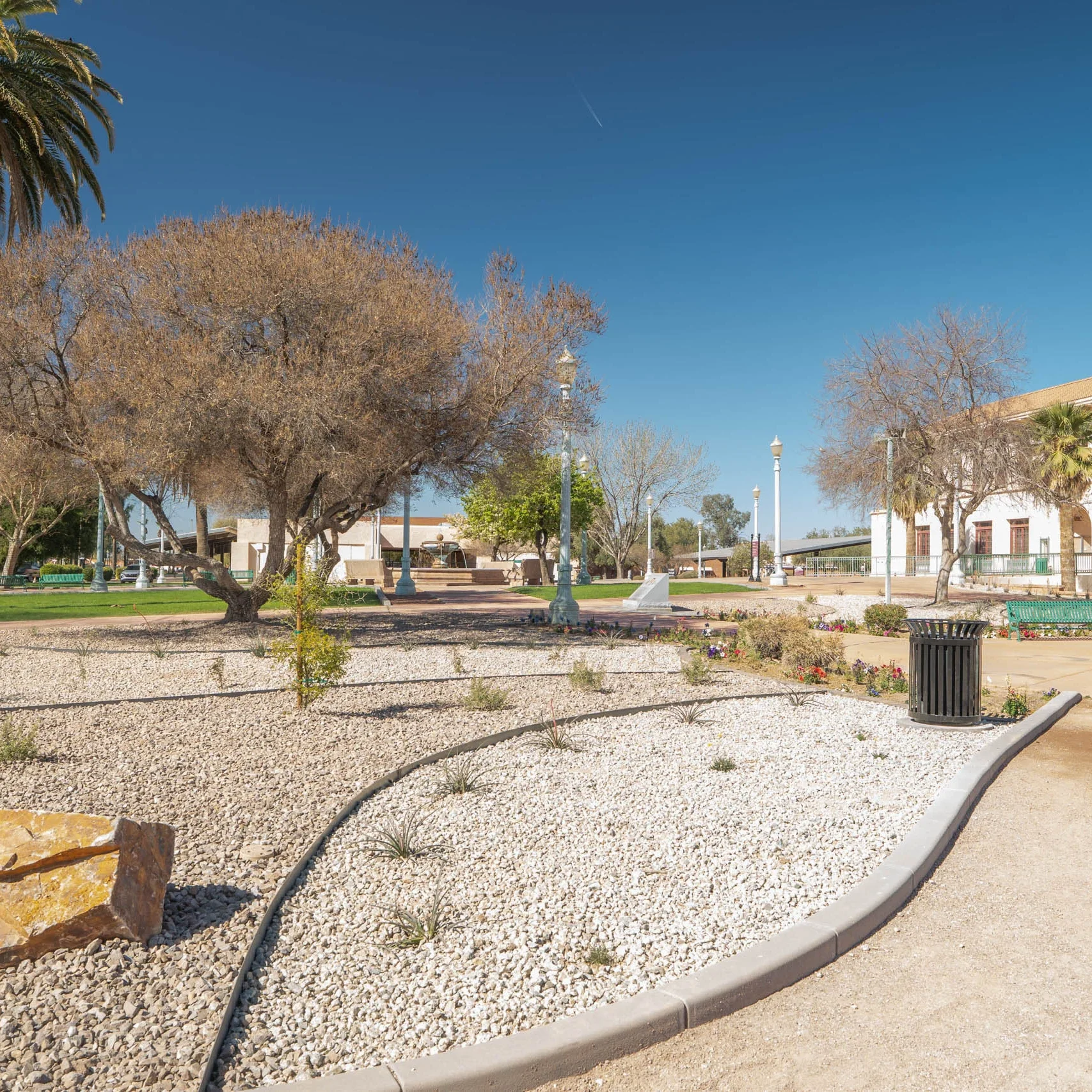 Sunny landscaped park with trees, lamps, and gravel garden