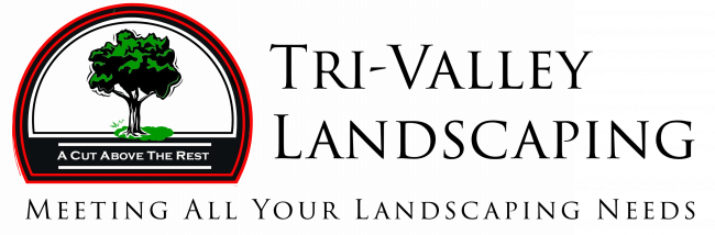 Tree logo with slogan "A Cut Above The Rest