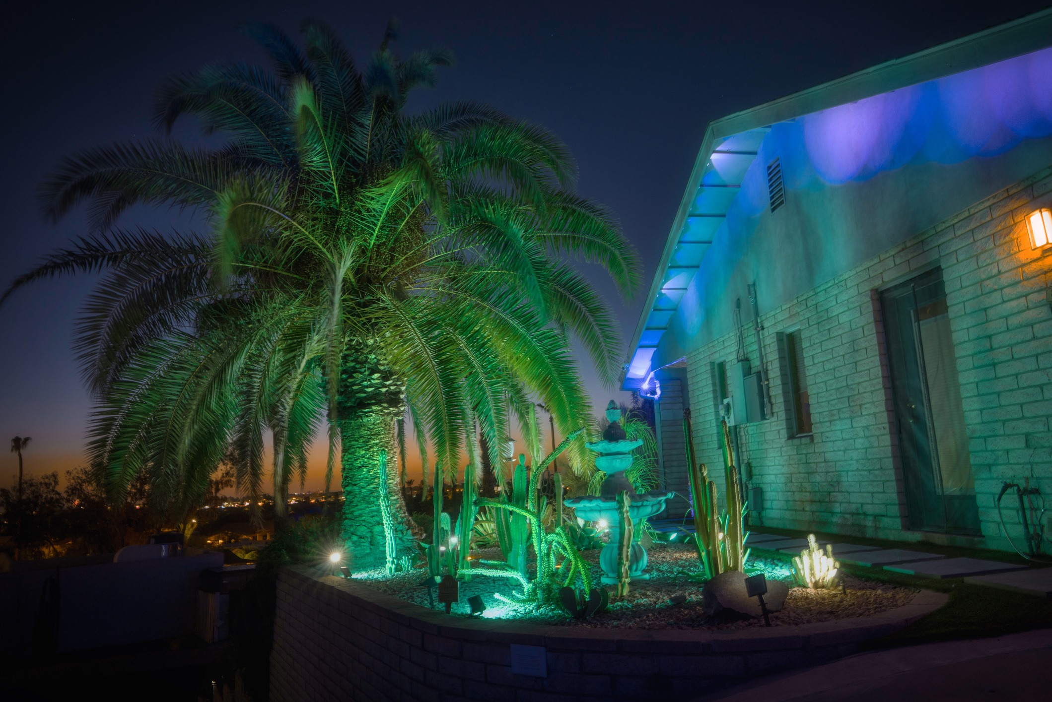 Illuminated palms and cactus garden beside house at night