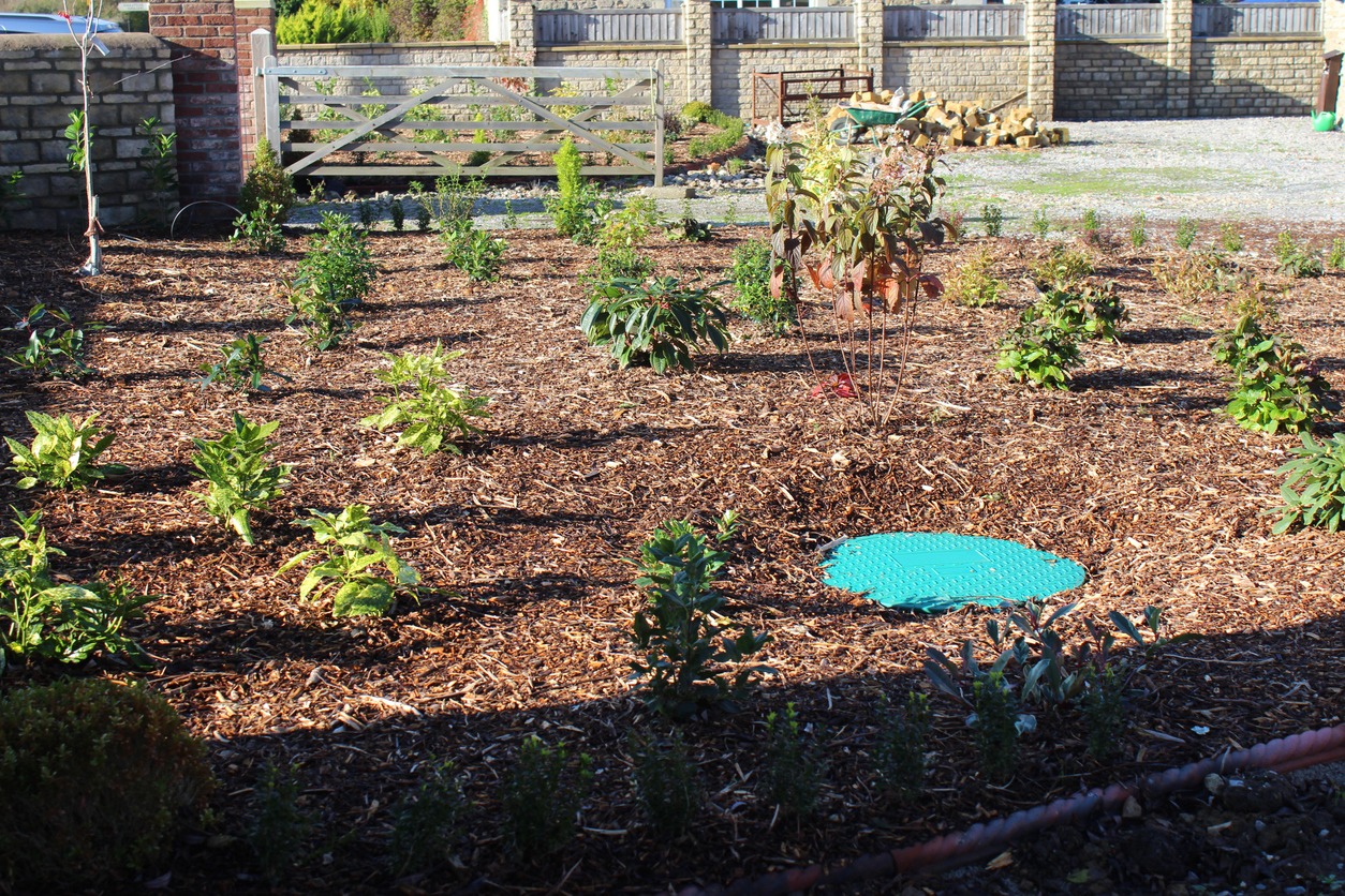 Mulched garden bed with young shrubs beside wooden gate