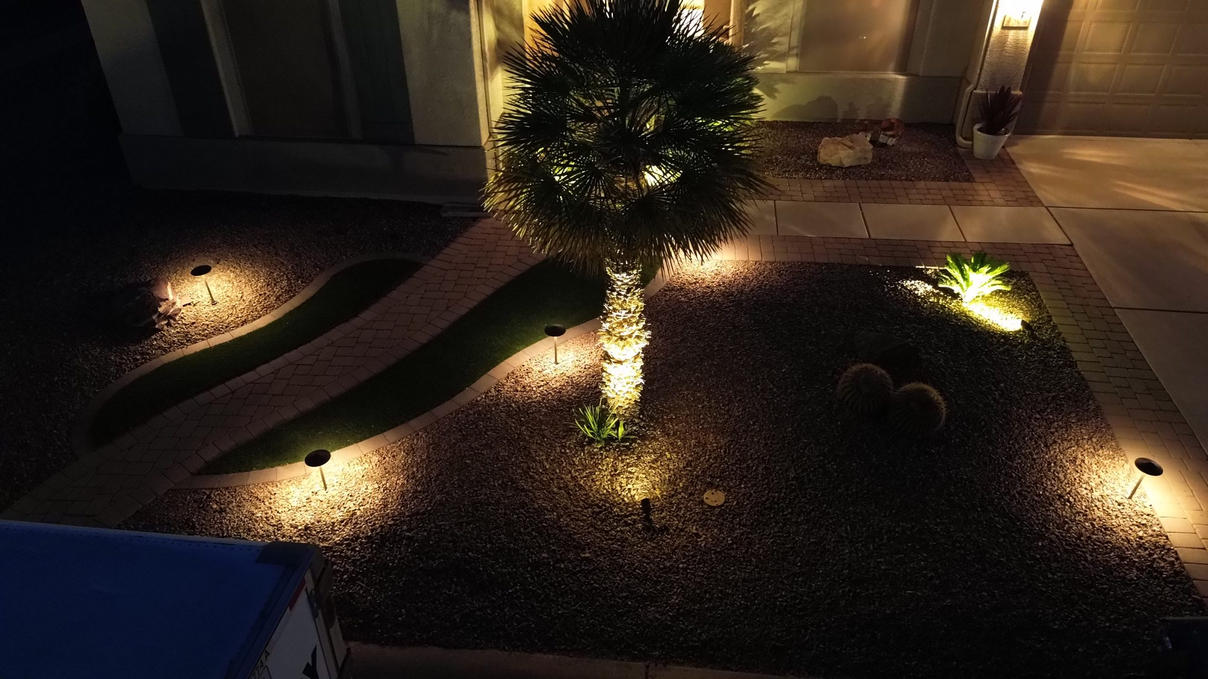 Illuminated palm tree and landscaped walkway at night