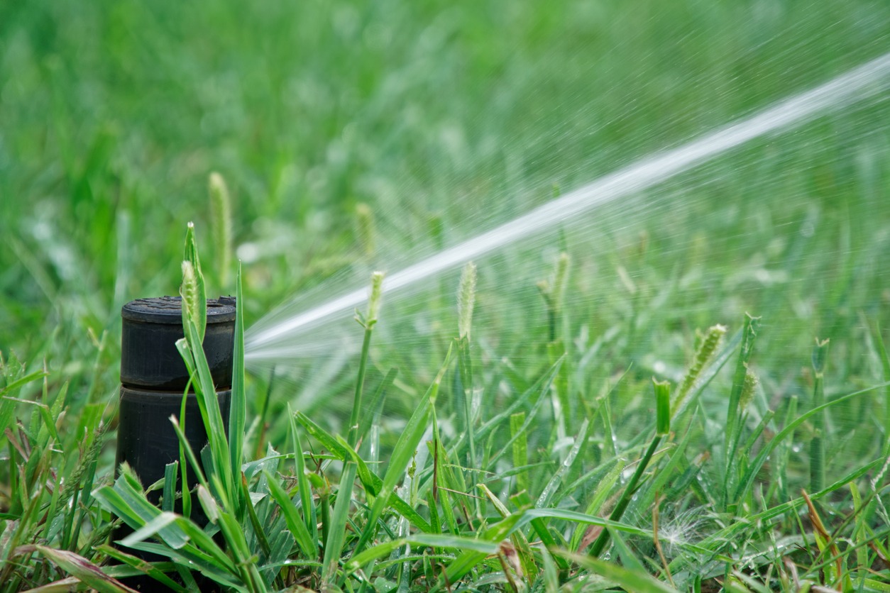 Sprinkler head watering green grass lawn