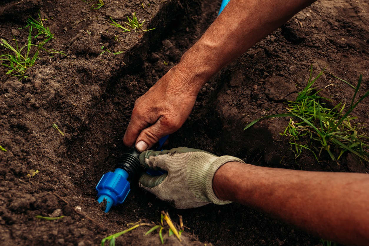 Hands installing blue drip irrigation connector in soil
