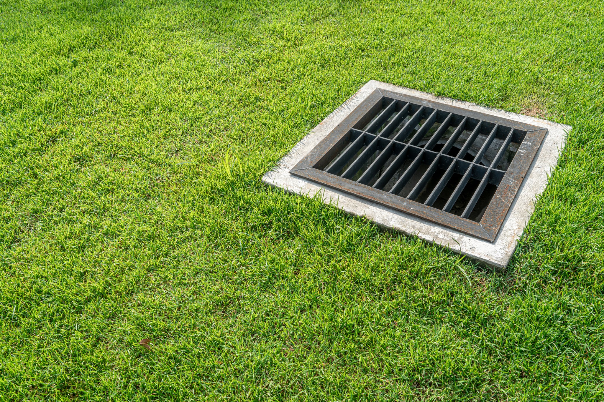 Storm drain grate set in a grassy lawn