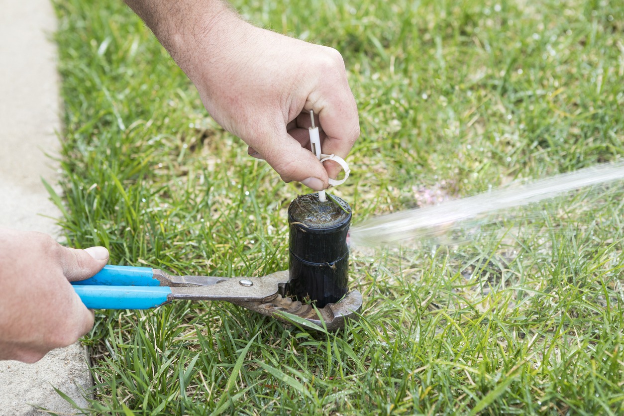 Person adjusting a lawn sprinkler head with pliers